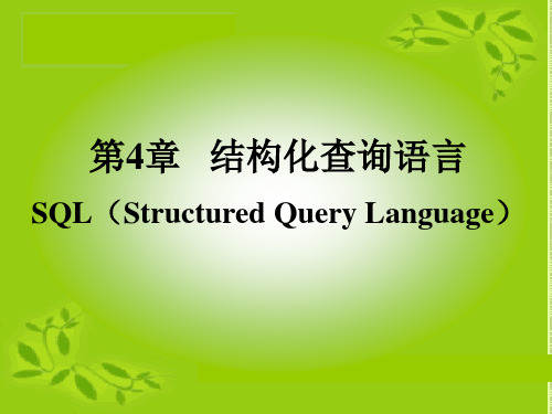 第4章 结构化查询语言SQL(Structured Query Language).