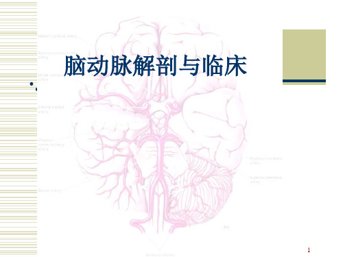 经典：脑动脉解剖与临床