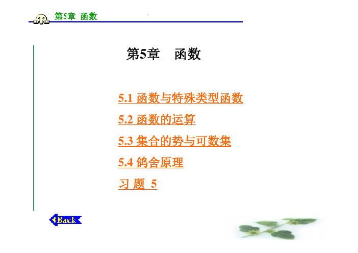 离散数学第5章_函数