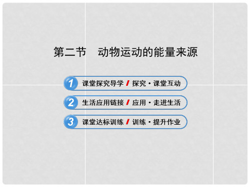 八年级生物下册 第十六章 第二节 动物运动的能量来源