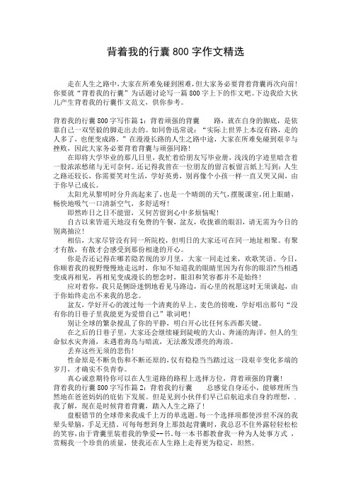 背着我的行囊800字作文精选