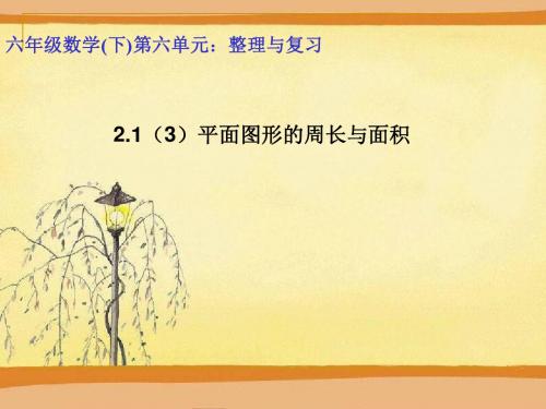 青岛版小学六年级数学下册总复习-平面图形的周长与面积