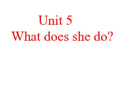 人教六年级英语上册：Unit5 What does she do