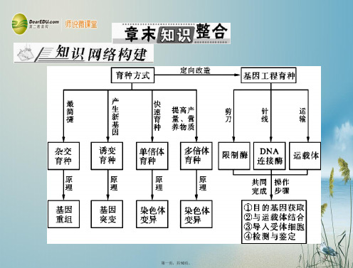 高考生物总复习 第6章 章末知识整合课件 新人教版必修2 