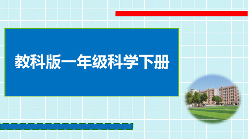 教科版小学科学一年级下册《观察一瓶水》课件