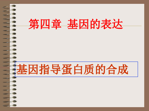 基因表达 高中生物必修二教学课件PPT 人教版