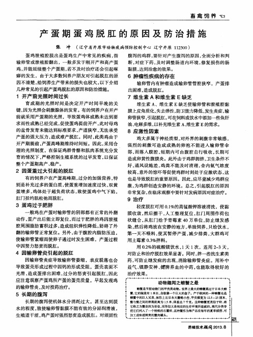 产蛋期蛋鸡脱肛的原因及防治措施