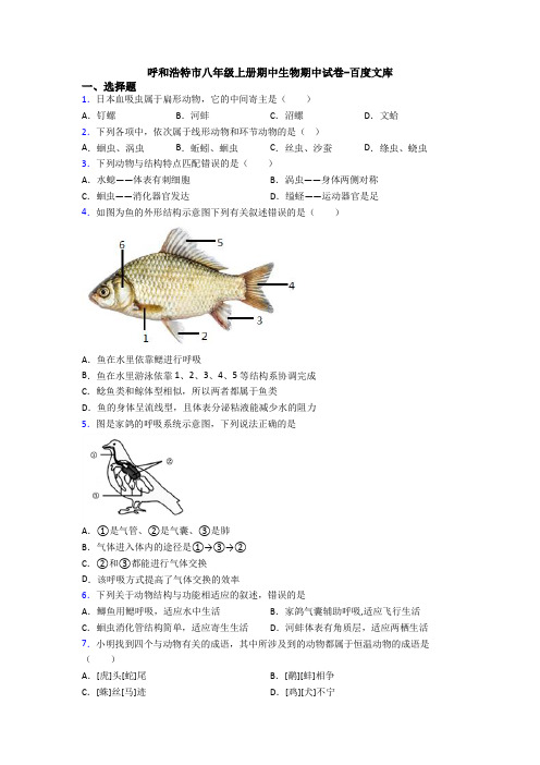 呼和浩特市八年级上册期中生物期中试卷-百度文库