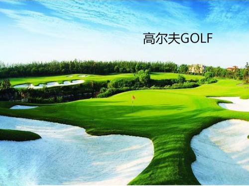 高尔夫GOLF