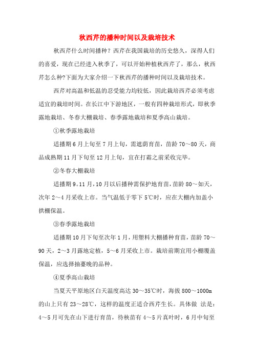 秋西芹的播种时间以及栽培技术