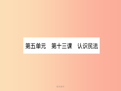 201x中考道德与法治复习 九上 第13课 认识民法 教科版