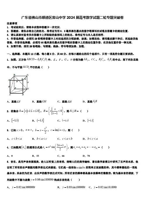 广东省佛山市顺德区容山中学2024届高考数学试题二轮专题突破卷