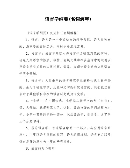 语言学纲要(名词解释)