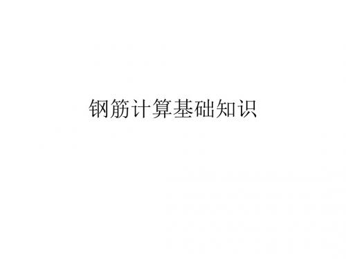 钢筋算量精讲