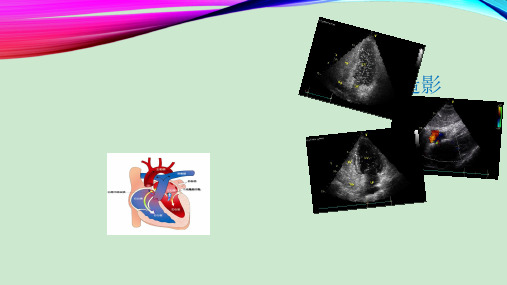 右心声学造影 ppt课件