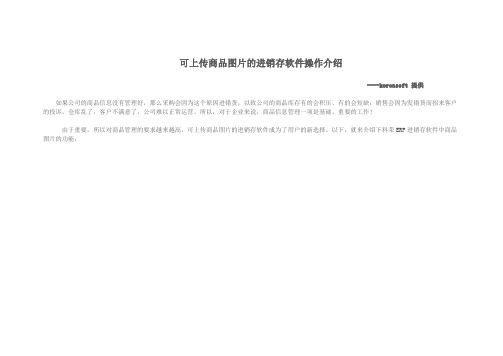 可上传商品图片的进销存软件