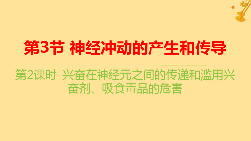 新教材高中生物第2章兴奋在神经元之间的传递和滥用兴奋剂吸食毒品的危害pptx课件新人教版选择性必修1