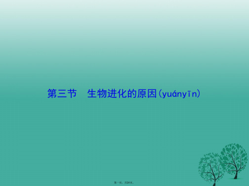 原八年级生物下册第七单元第三章第三节生物进化的原因课件(新版)新人教版