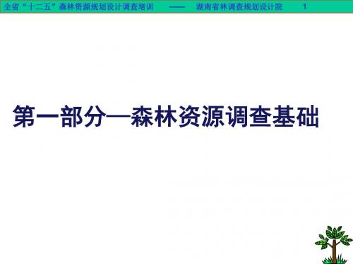 森林资源调查基础-97页PPT文档资料