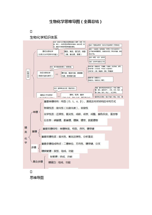 生物化学思维导图（全面总结）