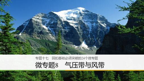 2021高考地理二轮知识专题复习课件：专题十七 回扣基础必须突破的24个微专题 微专题8