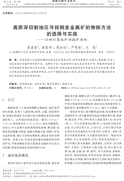 高原深切割地区寻找铜多金属矿的物探方法的选择与实践——以四川