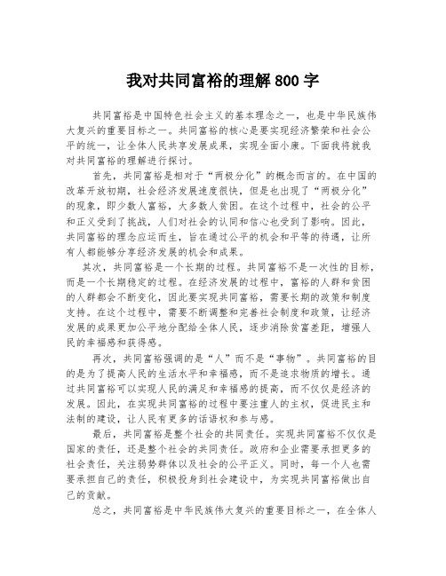 我对共同富裕的理解800字