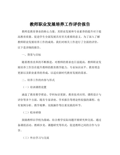 教师职业发展培养工作评价报告