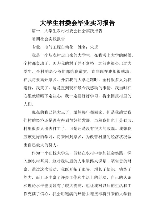 大学生村委会毕业实习报告