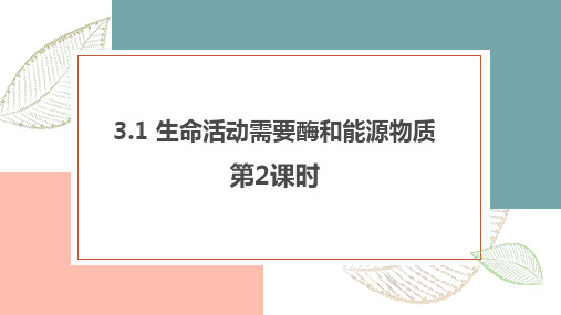 3.1生命活动需要酶和能源物质第2课时课件-2024-2025学年高一上学期生物苏教版必修1