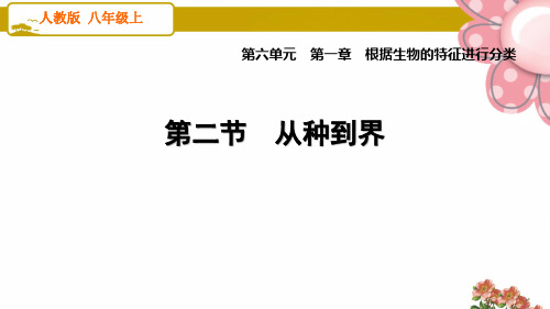 人教版八年级生物上册1.2 从种到界