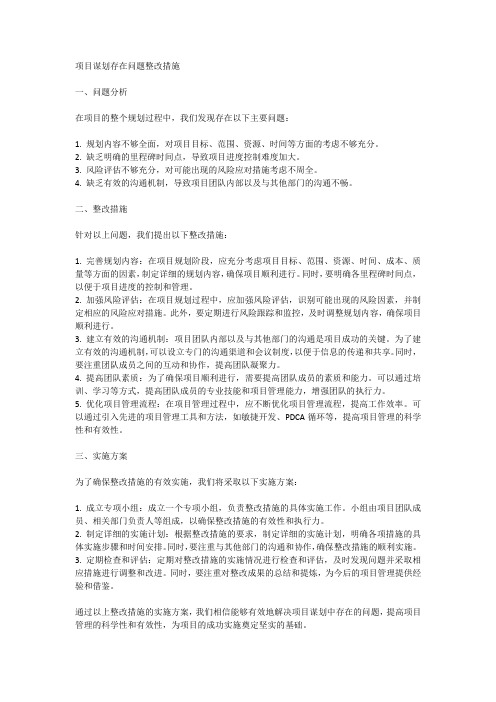 项目谋划存在问题整改措施