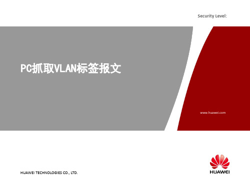 PC通过流镜像抓包获取VLAN标签报文