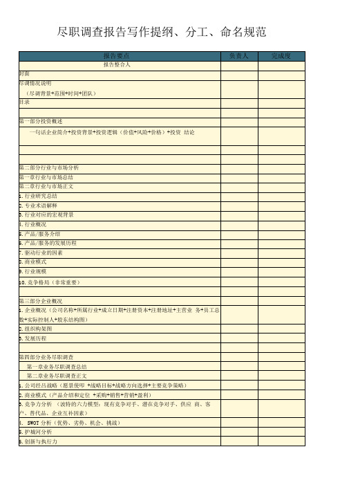 尽调报告_写作提纲、分工、命名规范