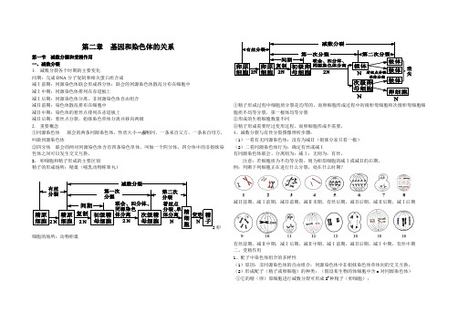 人教版生物必修二第二章  基因和染色体的关系知识点