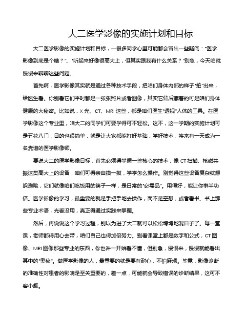 大二医学影像的实施计划和目标