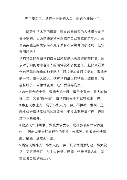 狗年要到了,送你一份宠物大全,萌到心都融化了...