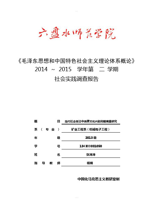 毛概社会实践调查报告：当代社会变迁中消费文化兴起问题调查研究