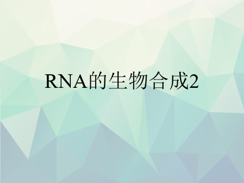 RNA的生物合成2