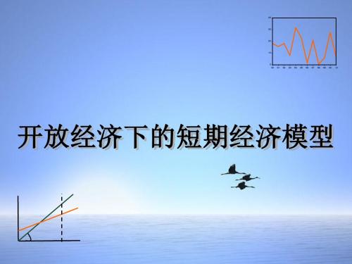 开放经济下的短期经济模型(PPT 49张)