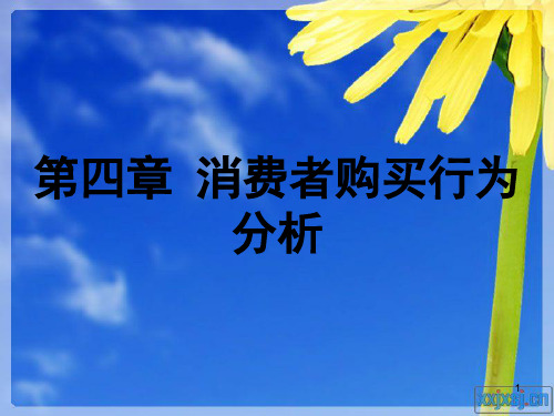 消费者购买行为分析(ppt 83页)