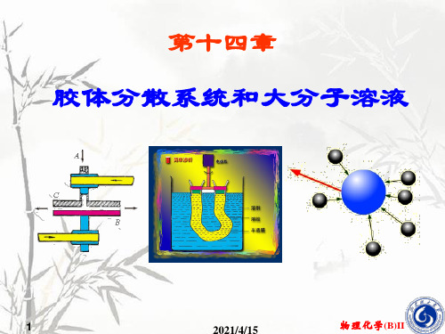 物理化学南京大学傅献彩第五版14章胶体与大分子溶液课件