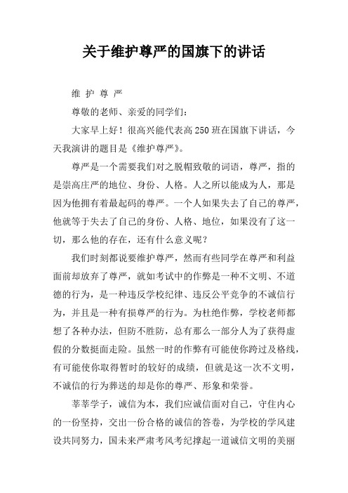 关于维护尊严的国旗下的讲话[推荐]