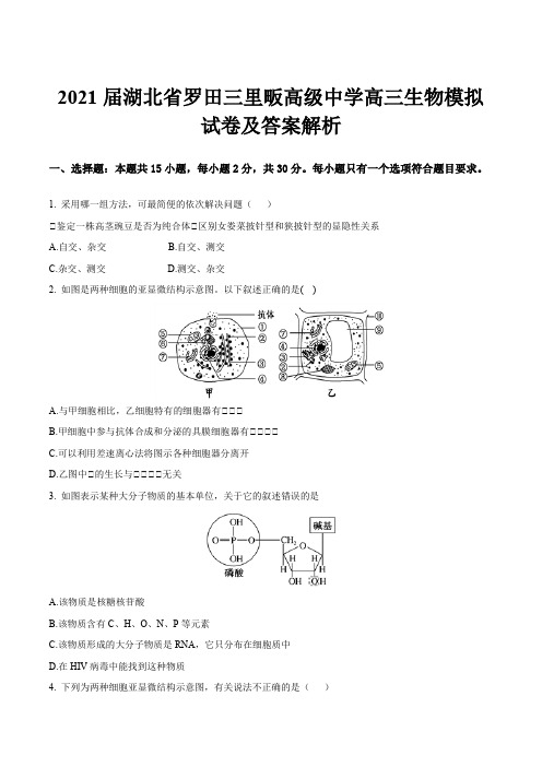 2021届湖北省罗田三里畈高级中学高三生物模拟试卷及答案解析