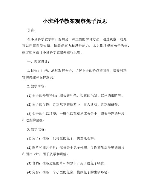 小班科学教案观察兔子反思