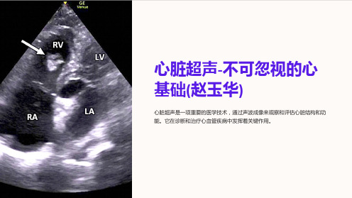 心脏超声-不可忽视的心基础(赵玉华)