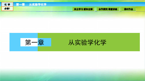 高中化学(人教版)必修1课件:第一章 从实验学化学 1.1.1