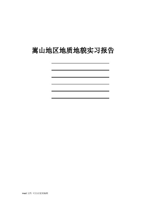 嵩山地区地质地貌实习报告