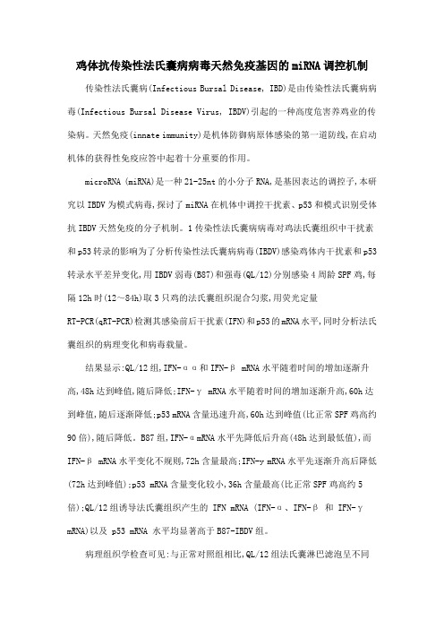 鸡体抗传染性法氏囊病病毒天然免疫基因的miRNA调控机制