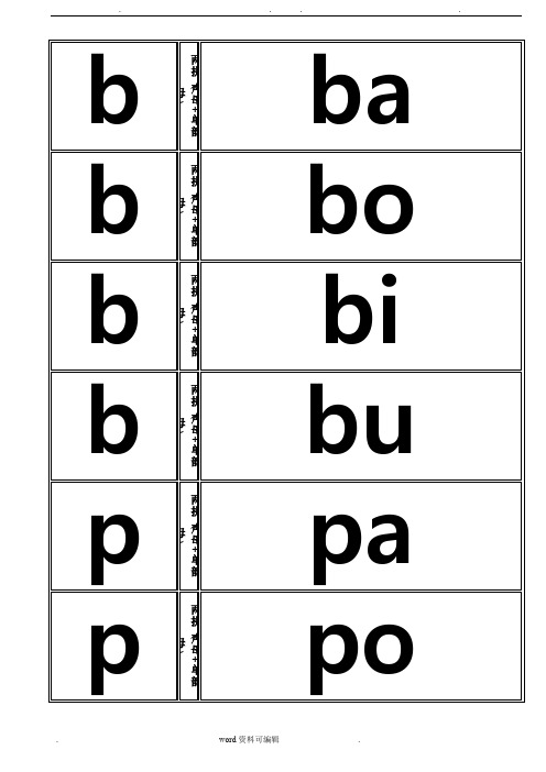 汉语拼音音节卡片